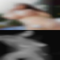 Men looking male cock suckers